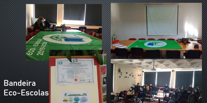 Eco escolas2